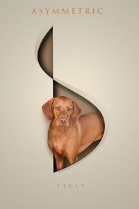 Chic Shapes - 3  Pets, Digital Only