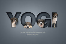 Load image into Gallery viewer, Contemporary dog memento pet picture with a dog in different poses sitting in each letter of its name. Stunning 3d-effect is created by the paper cut out design.
