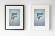 Load image into Gallery viewer, Add a white, black or Oak effect picture frame