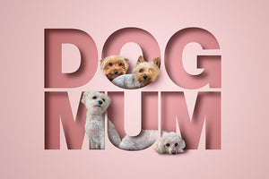 Dog Mum - unique pet picture with cute dogs appearing to sit inside cutout letters of the words creating a stunning 3D look