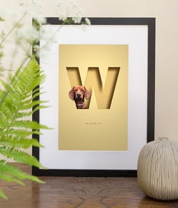 black wood picture frame on a table top of a cute red dachshund on a pale yellow background. designed so she is looking out of a 3D cutout effect letter W that is the first letter of her name. her full name is also written in a sophisticated font underneath the W