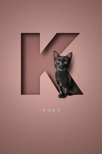 Cute black kitten sitting in a 3D-effect letter K paper on a dusky pink colour backgroundcutout