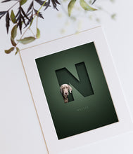 Load image into Gallery viewer, dark green picture design with a silver grey weimaraner looking out of the letter N that has a 3D cutout look and the dog&#39;s name is written in an elegant serif font underneath the N