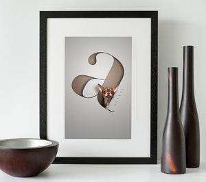 cute little chihuahua dog looking out of a 3D looking letter in a black wooden frame