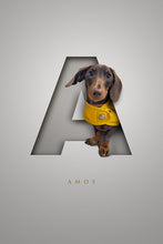 Load image into Gallery viewer, modern dog portrait of dachshund standing in a 3D effect cutout letter on a pale grey background