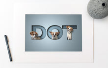 Load image into Gallery viewer, Pets in 3 letter name mount only