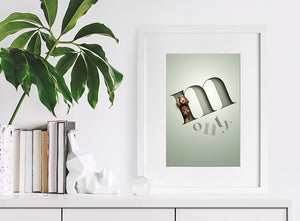 modern pet portrait of a spaniel dog in a 3D-effect letter framed on a mantlepiece