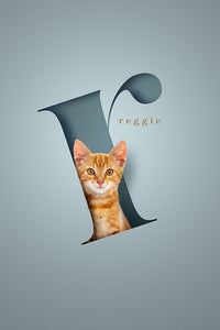 Modern and stylish 3D looking cat picture with a ginger cat sitting in a sky blue paper cutout-look letter cretaing the illusion that it is really inside the shape.
