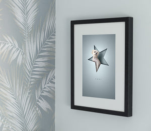 stylish, modern 3D-effect pet picture with white dog sitting in a star shape with a paper cutout look giving an unusual 3d effect. Framed in a black picture frame and hanging on a wall