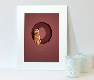 picture in a white photo mount of a furry cockapoo dog sitting within a letter O on a burgundy red background