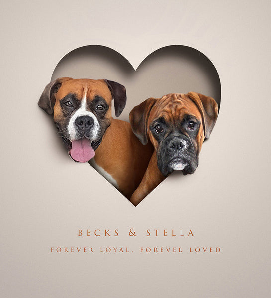 5 pet memorial gifts to commemorate a lost loved one