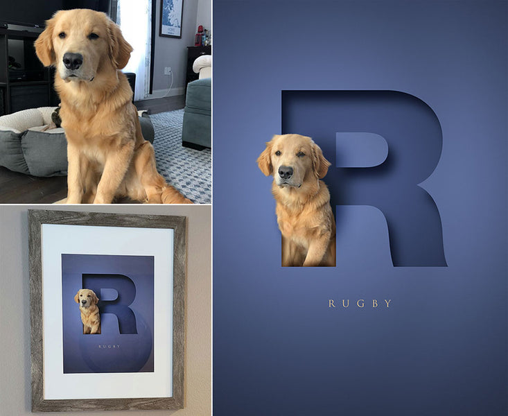 How to turn your pet photos into stunning custom portraits