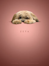 Load image into Gallery viewer, cute dog lhasa apso peeking over paws on dusky pink background