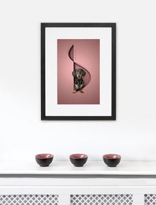 Chic Shapes - 1 Pet, Framed