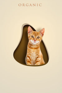 Chic Shapes - 3  Pets, Digital Only