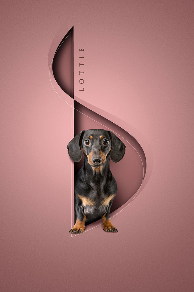Chic Shapes - 1 Pet, Mount Only
