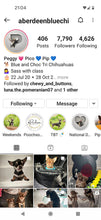 Load image into Gallery viewer, Chic Shapes - 2  Pets, Digital Only
