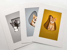 Load image into Gallery viewer, Chic Shapes - 1 Pet, Mount Only