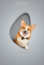 Load image into Gallery viewer, Chic Shapes - 3  Pets, Digital Only