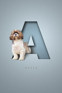 One pet digital only