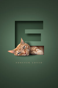 One pet digital only