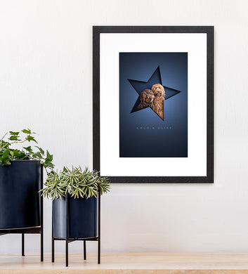 modern dog picture with 2 fluffy cockapoos sitting inside a star shape paper cutout that creates a very realistic 3d effect. Dark blue background and simple black wood frame. 