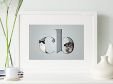 Load image into Gallery viewer, Two Pets in Serif Letters Framed