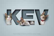 Load image into Gallery viewer, Three pet digital only