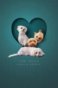 Four pet digital only