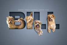 Load image into Gallery viewer, Four pet digital only