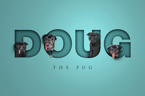Pug dog modern pet picture with a realistic 3D look. Each letter of the name has a dog posed inside as if they were really there