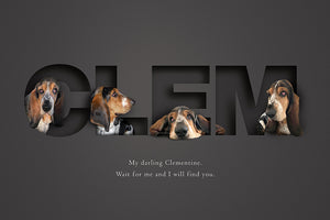 Modern pet memento picture with a dog in different poses sitting in each letter of its name. Stunning 3d-effect is created by the paper cut out design.