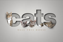 Load image into Gallery viewer, unique cat picture with 4 cats appearing to sit inside cutout letters of the word CATS creating a stunning 3D look
