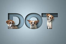 Load image into Gallery viewer, Cute dog picture of a tan and white mongrel in different poses sitting in each letter of its name. The letters look like they have been cut out and creates a very realistic 3d-look
