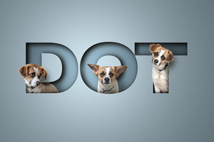 Cute dog picture of a tan and white mongrel in different poses sitting in each letter of its name. The letters look like they have been cut out and creates a very realistic 3d-look