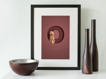Load image into Gallery viewer, black wood framed picture of an apricot coloured cockapoo sitting inside the letter O on a burgundy red background 