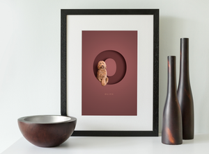 black wood framed picture of an apricot coloured cockapoo sitting inside the letter O on a burgundy red background 