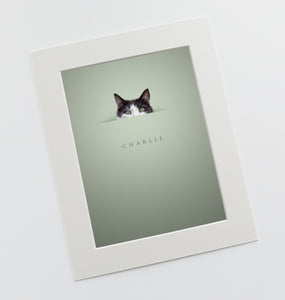 Luxury design of black and white cat with green eyes poking head out of a digitally created 3D effect of a hole cut into paper