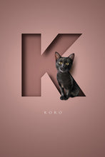 Load image into Gallery viewer, Cute black kitten sitting in a 3D-effect letter K paper on a dusky pink colour backgroundcutout