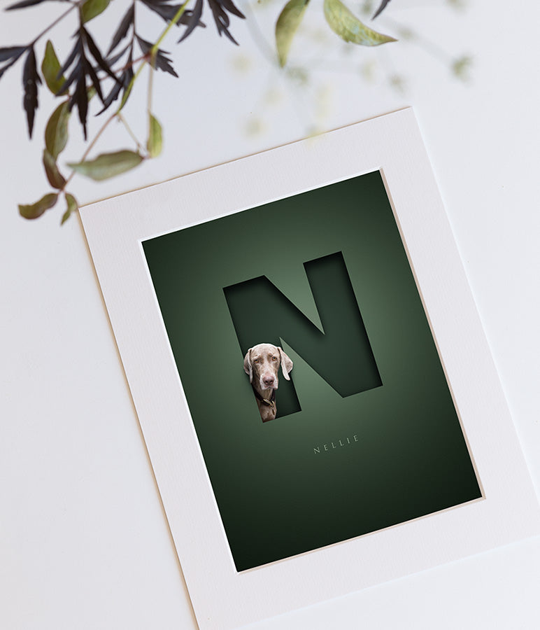 dark green picture design with a silver grey weimaraner looking out of the letter N that has a 3D cutout look and the dog's name is written in an elegant serif font underneath the N