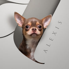 Load image into Gallery viewer, Two Pets in Serif Letters Mount Only
