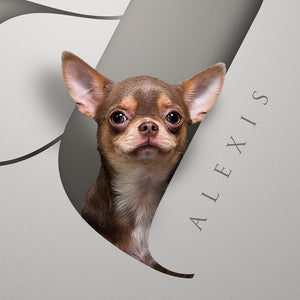 Two Pets in Serif Letters Mount Only