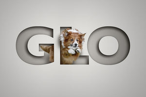 Collie dog leaping through the letters of its name in a paper cut out design giving a 3d effect