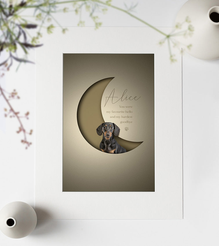 stylish, modern 3D-effect pet picture of a dachshund posed inside a crescent moon shape with a paper cutout look giving an unusual 3d effect.