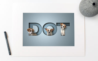 Pets in 3 letter name mount only
