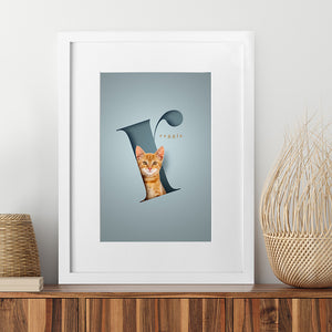 cat portrait ginger kitten sitting in a letter r on blue background in a white wood frame