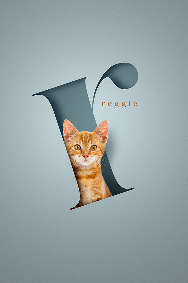 Pets in Serif Letters Mount Only