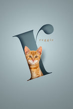 Load image into Gallery viewer, Modern and stylish 3D looking cat picture with a ginger cat sitting in a sky blue paper cutout-look letter cretaing the illusion that it is really inside the shape.