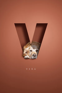 3D-effect cutout letter with a golden labrador retriever peeking out of the shape