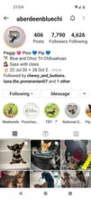 Load image into Gallery viewer, Four pet digital only
